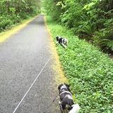 Take a hike