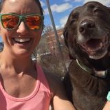 Professional Pet Sitter & Dog Walker