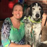 Pet Sitting in your home, Drop In's and Dog Walker