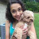 Dependable, Experienced, Loving Pet Sitter! - Available Immediately