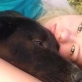 Caring Cat and Dog Sitter Available Immediately!
