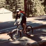 Available: Professional Cat & Dog Sitting Professional in Sparks