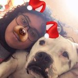16 Year Old Seeking A Summer Or Even Full Time Job Caring For Dogs Of All Age And Sizes!