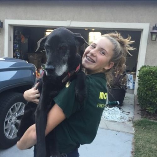 Pet Care Provider Ashley W's Profile Picture