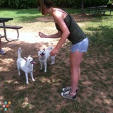 Fun, Energetic, Loving Pet Sitter!