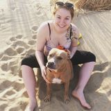 I am looking to start walking dogs in the Jamestown area! I also would pet sit and do a little grooming.