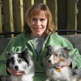 Saint Cloud Dog Walker/Boarder Looking For Work