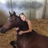Searching for a Sitter Job in Sun City
