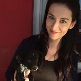 Your Pet's New Best Friend!