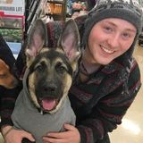 My name is Benjamin! And I am offering great trusted house sitting services.