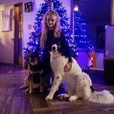 Available: Professional Animal Care in Martensville, Saskatchewan