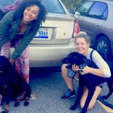 Flexible Pet Sitter Available Immediately