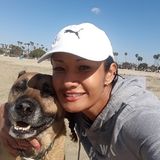 Hello! Need a true dog lover to care for your pooches?