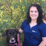 Seeking a House and Petsitter Job in East Lyme, Connecticut