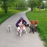 Hi! My name is Priscila, I work as a dog walker and dog sitting.