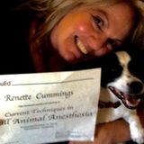 Seeking Modesto Pet Care Provider Jobs