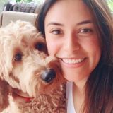 Interested In Long Beach Animal Lover Jobs