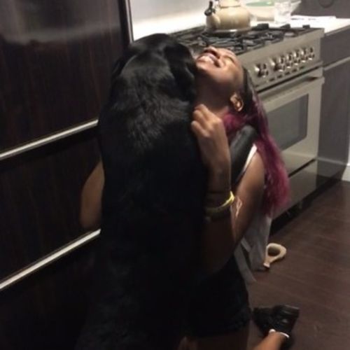 Pet Care Provider Skylar S's Profile Picture