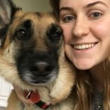 Hardworking House, Pet And Plant Sitter Available Immediately