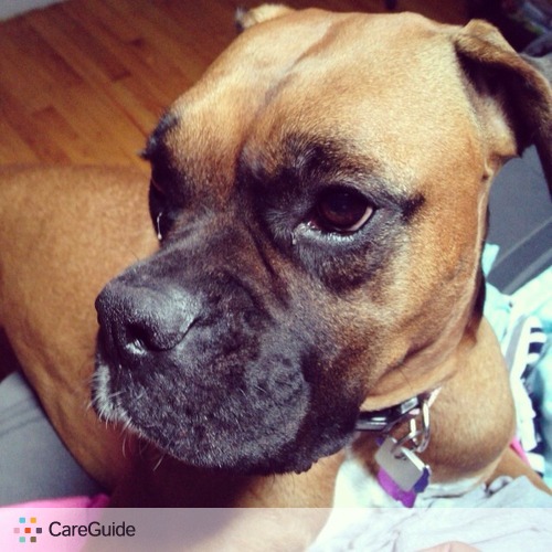 Pet Care Provider Maria Martelo's Profile Picture