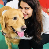 Around the clock care for your pets!