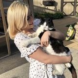 Consistent Pet Service Provider in Bay Shore