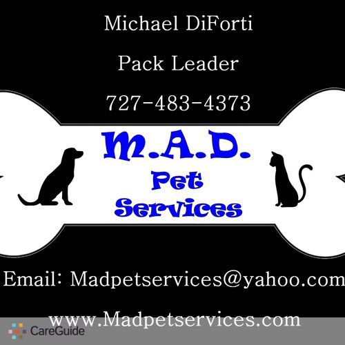 Pet Care Provider Michael D's Profile Picture