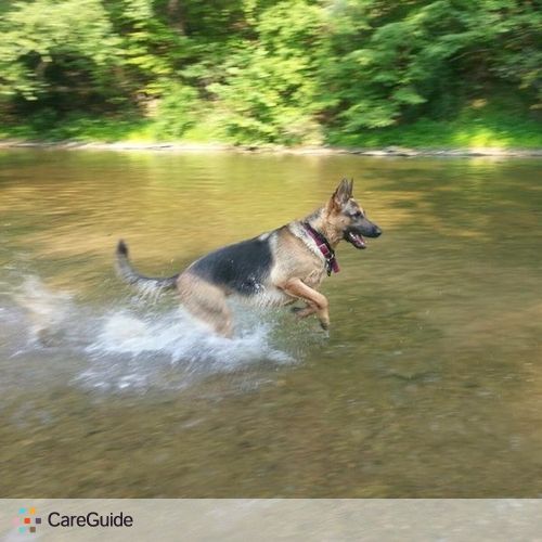 Pet Care Provider Jessica Rissmiller's Profile Picture