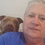 For Hire: Honest Cat and dog Sitter in Hobe Sound, Florida