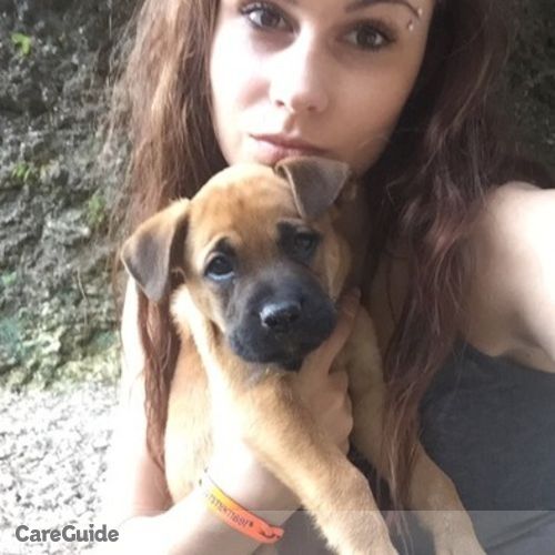 Pet Care Provider Haley T's Profile Picture
