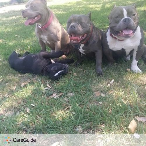 Pet Care Provider Samantha D's Profile Picture