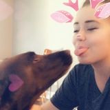 Flexible Dog Walker for Hire
