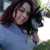 Available: Skilled Dog Trainer in Galveston, Texas