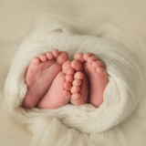 Nanny, Courtenay BC