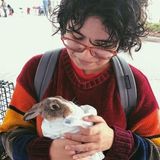 Just an animal lover from Chelsea, MA, just wanting to look after your furry friends :)