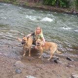 Available: Well Trained House and Plant Sitter in Delta, Colorado
