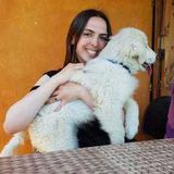 Pet Care Provider in Rancho Santa Margarita, California