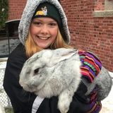 Seeking a Dog Sitter Opportunity in Duluth