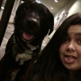 Available: Caring Pet Groomer in Seatac, Washington