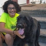 Freeport Dog Walker Looking For Job Opportunities