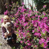 Hardworking House Sitting Provider for Your Home