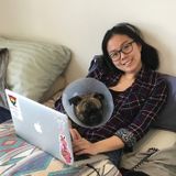 Part-time pet sitter available immediately!
