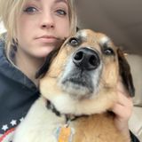 I have two dogs of my own. I have worked with dogs, cats, horses and farm animals. 10+ years of experience.
