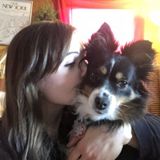 Levittown Dog Sitting Professional Seeking Being Hired