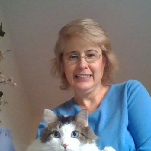 Housekeeper Provider Diane S's Profile Picture