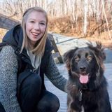 Registered Early Childhood Educator looking for Nanny Position