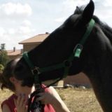 Bilingual animal lover looking for work!