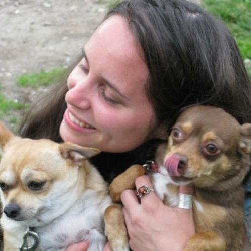 Pet Care Provider Krysteen P's Profile Picture