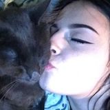 Searching for a Pet Sitting Job in Pittston