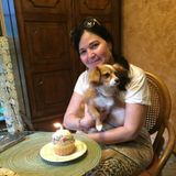 Flexible Dog Sitter in Aliso Viejo and other City's